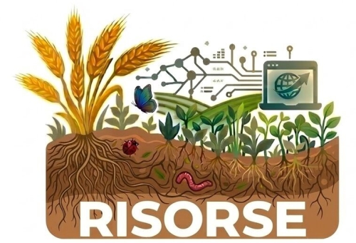 Progetto Risorse